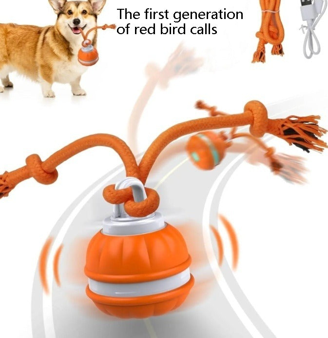 Kitzuno USB-Rechargeable Rolling Pet Toy Ball - product image 8