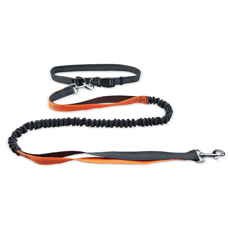Kitzuno Dog Walking Belt with Detachable Leash - product image 7
