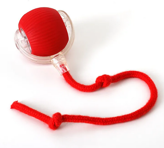 Kitzuno Self-Rolling Cat Toy Ball - product image 1