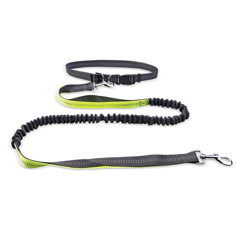 Kitzuno Dog Walking Belt with Detachable Leash - product image 6