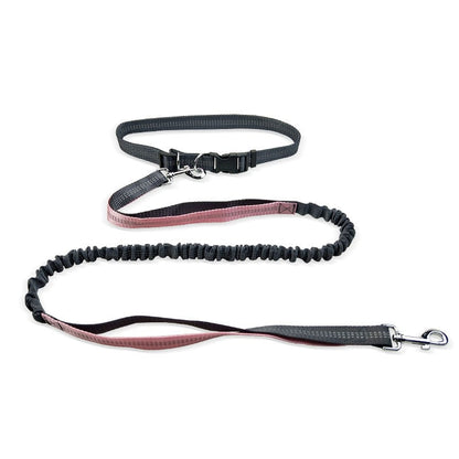Kitzuno Dog Walking Belt with Detachable Leash - product image 8