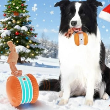 Kitzuno Interactive Rolling Pet Toy & Replacement Rope - product image 26