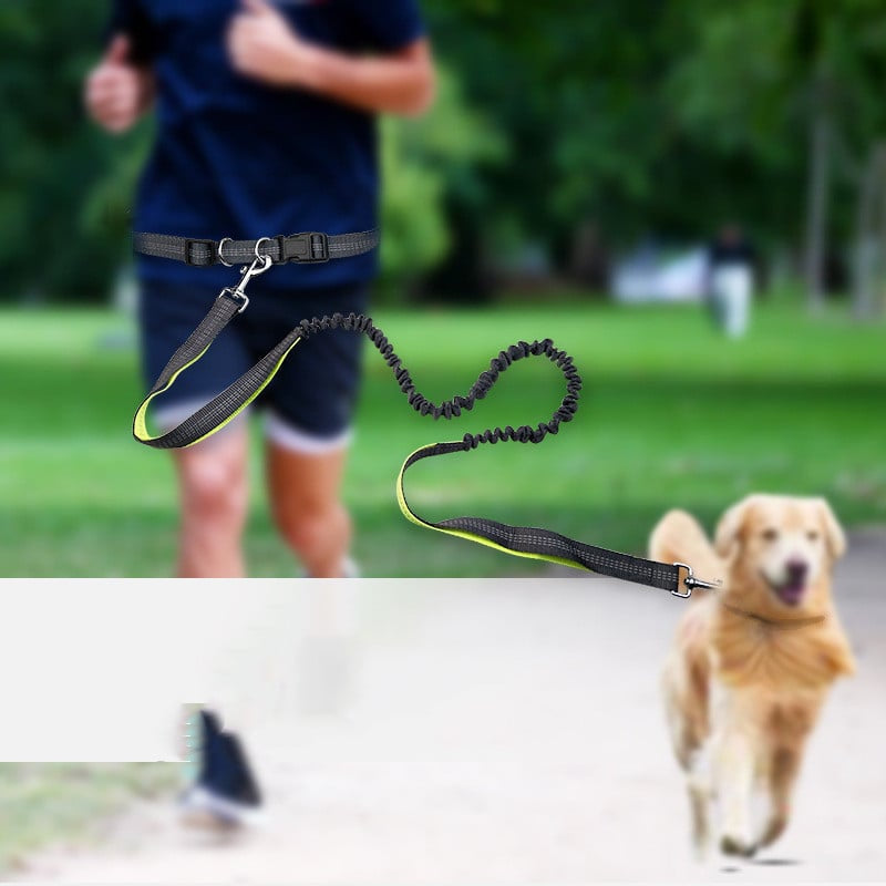Kitzuno Dog Walking Belt with Detachable Leash - product image 1