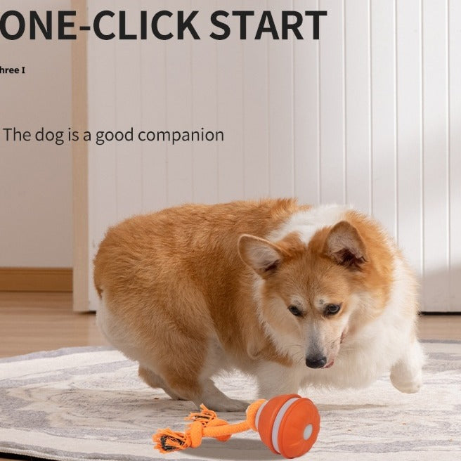 Kitzuno USB-Rechargeable Rolling Pet Toy Ball - product image 1