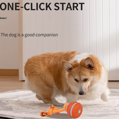 Kitzuno USB-Rechargeable Rolling Pet Toy Ball - product image 1