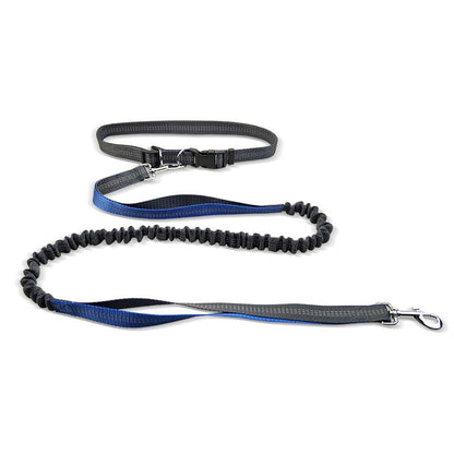 Kitzuno Dog Walking Belt with Detachable Leash - product image 9